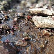 ghostSir的个人资料头像