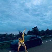 杨哥侃车价头像