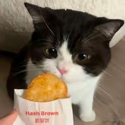 无能的丈夫的个人资料头像