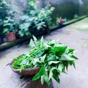 赵晓7A7K头像