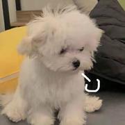 uuuui的个人资料头像