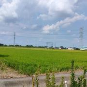 用户3051368477397的个人资料头像