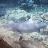 哎呦不错哦612头像