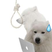 陈大帅1的个人资料头像