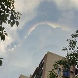 小虎哥985头像