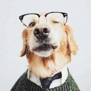 面试官：请详细介绍下AI中的token，越详细越好！  