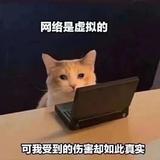 我的鱼哪去了jjjj头像