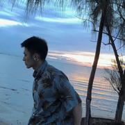 大树957的个人资料头像