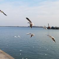 科学发展倌头像