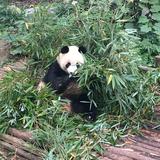 奋发同江5V7头像