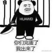 Loongwu的个人资料头像