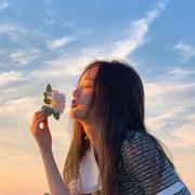 chestnut的个人资料头像