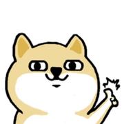 张张771的个人资料头像