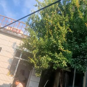 郭铁斌头像