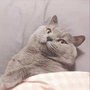 hikari116的个人资料头像