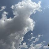 LW千姿百态头像