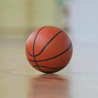 潇洒孔雀8VaJT头像