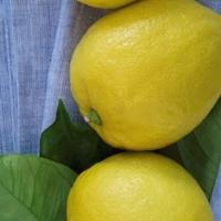 用户3416476311906头像