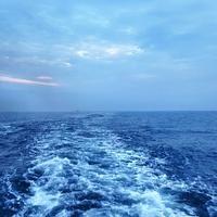 用户2934752584870头像