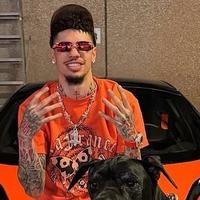 落雁紫鹏32头像