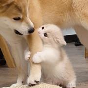 RareEarthNuggets的个人资料头像