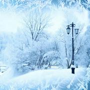 孤城炎的个人资料头像