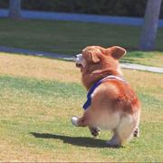 突突突985的个人资料头像