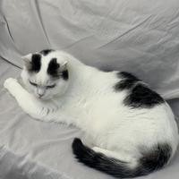 拯救胡萝卜胡了头像