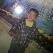 满天星下衔着雏菊的天堂鸟的个人资料头像