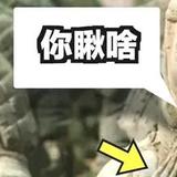 singlet头像