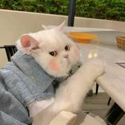 LBY的个人资料头像
