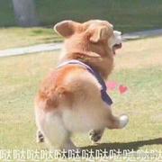 易如梦的个人资料头像