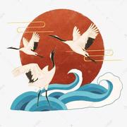 coder_star的个人资料头像