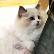 Jingzhou的个人资料头像