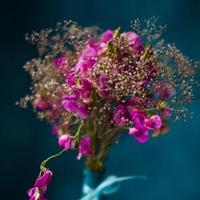 正能量辰星E1头像