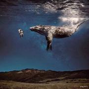 江山万里的个人资料头像