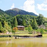 富贵花开9127头像