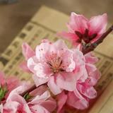 用户7060449945606头像