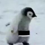 番茄4107422729775085头像