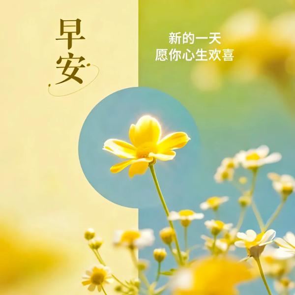 青萝缠古树头像