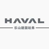乐山建国哈弗袁顺头像