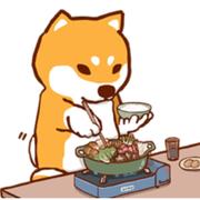 小卡dsj的个人资料头像