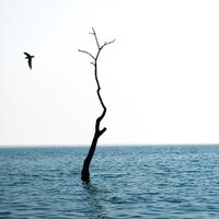 KZ淡写青春头像