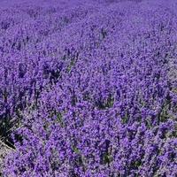 用户6705235340292头像