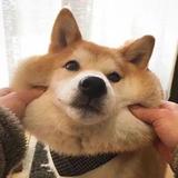 用户9706617483730头像
