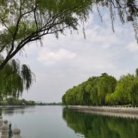 爱旅游的老杨头像