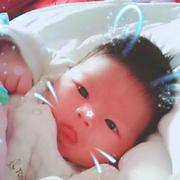 云崖君的个人资料头像