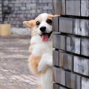 Sunshine758的个人资料头像