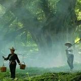 勿忘我3W2I头像