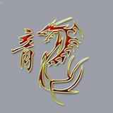 与龙共舞186头像